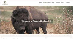 Desktop Screenshot of buffalococ.com